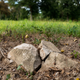 A broken gravestone lies in pieces in a slave graveyard on the Prairie View A&M University campus, a public historically black university, in Prairie View, Texas.